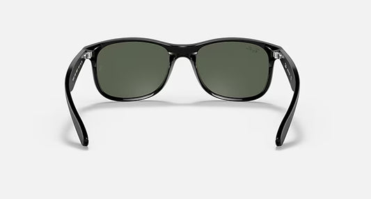 Ray-Ban RB4202 606971-55 Andy Matte Black On Black / Green Classic Lenses