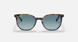 Eyewear Ray-Ban Elliot RB 2197 (13563M)