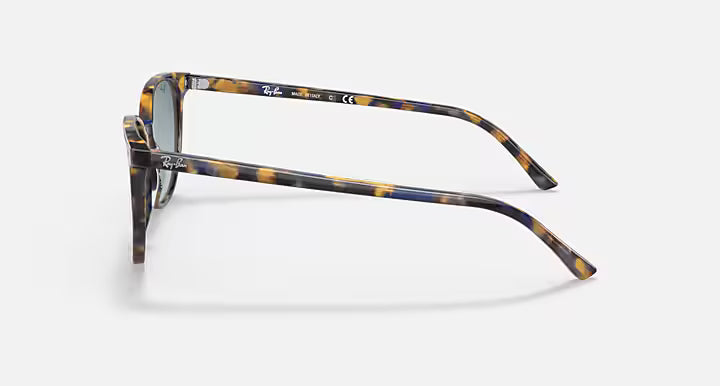 Eyewear Ray-Ban Elliot RB 2197 (13563M)
