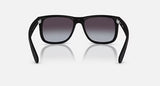 Ray-Ban 0RB4165 – תמונת המוצר