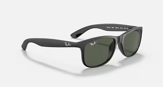 Ray-Ban 0RB4202