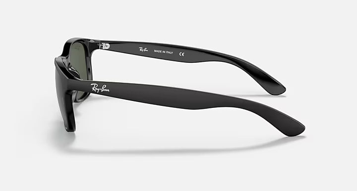 Ray-Ban RB4202 606971-55 Andy Matte Black On Black / Green Classic Lenses