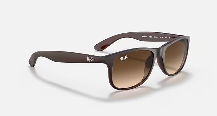 Ray-Ban 0RB4202 (Color 607313) – תמונת המוצר