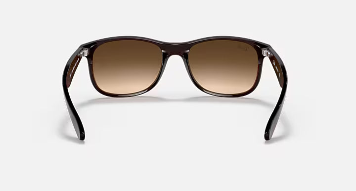 Ray-Ban 0RB4202 (Color 607313) – תמונת מוצר 2