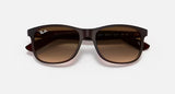 Sunglasses Ray-Ban Andy Brown Matte RB4202 6073/13 55-17 Medium Gradient