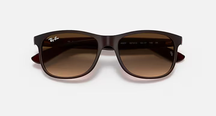 Sunglasses Ray-Ban Andy Brown Matte RB4202 6073/13 55-17 Medium Gradient