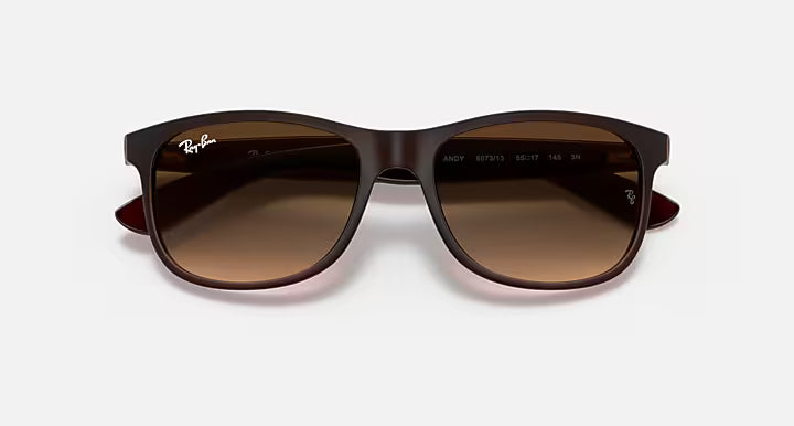 Ray-Ban 0RB4202 (Color 607313) – תמונת מוצר 3