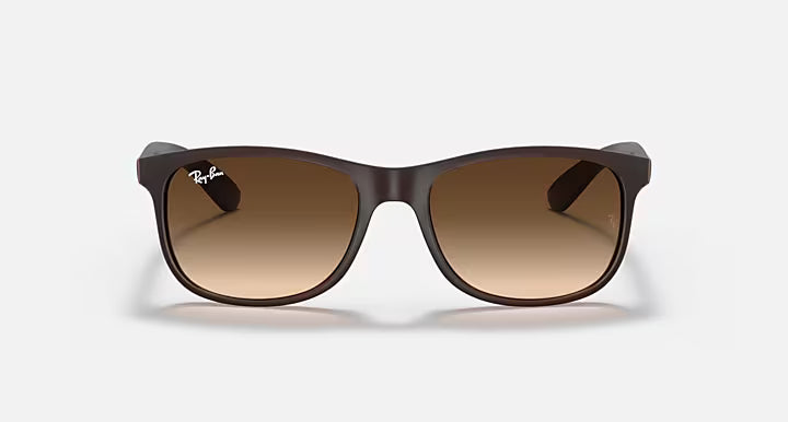 Sunglasses Ray-Ban Andy Brown Matte RB4202 6073/13 55-17 Medium Gradient