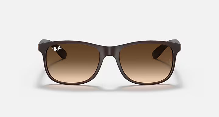 Ray-Ban 0RB4202 (Color 607313) – תמונת מוצר 4
