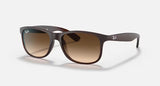 Ray-Ban 0RB4202 (Color 607313) – תמונת מוצר 6