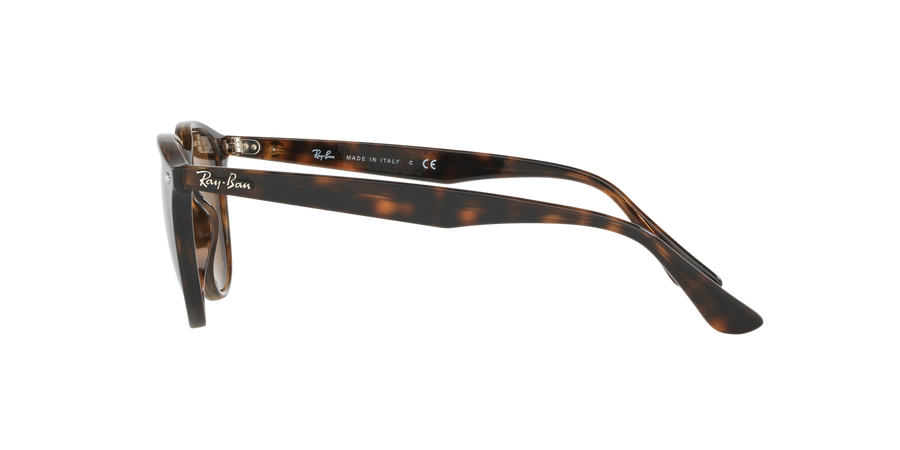 Ray-Ban RB4259 Sunglasses – Polished Light Havana / B-15 Brown Lenses (710/73) – 3