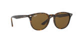 Ray-Ban RB4259 Sunglasses – Polished Light Havana / B-15 Brown Lenses (710/73)