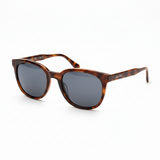 Brown Sunglasses