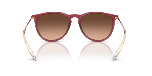 Sunglasses Ray-Ban Erika RB4171 6815/A5 54-18 Rubber Violet