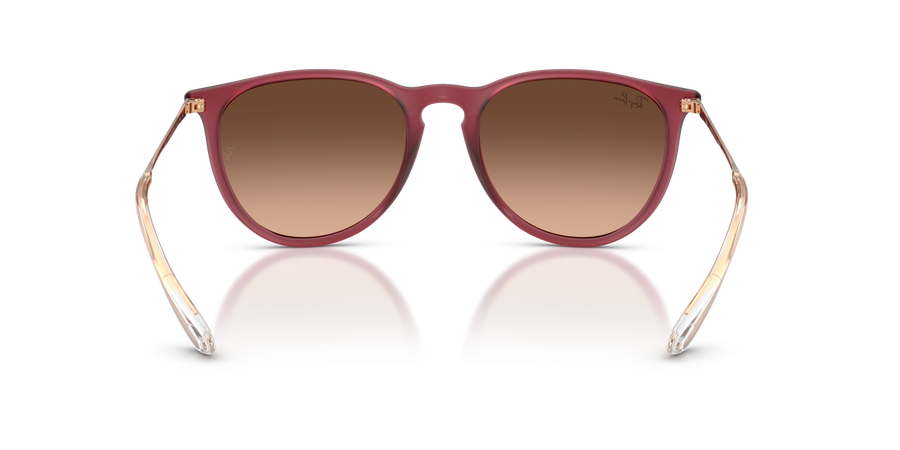 Sunglasses Ray-Ban Erika RB4171 6815/A5 54-18 Rubber Violet