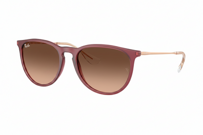 Sunglasses Ray-Ban Erika RB4171 6815/A5 54-18 Rubber Violet