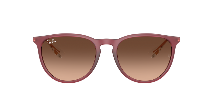 Sunglasses Ray-Ban Erika RB4171 6815/A5 54-18 Rubber Violet