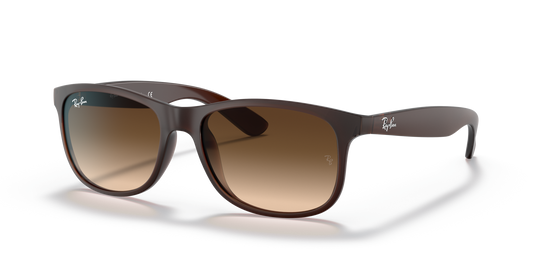משקפי שמש Ray-Ban Andy RB4202 6073/13 בגוון חום מט